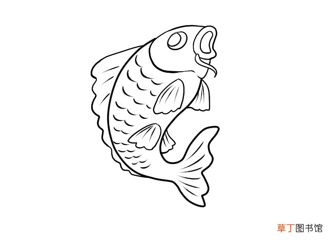 鲤鱼简笔画 零基础学鲤鱼简笔画