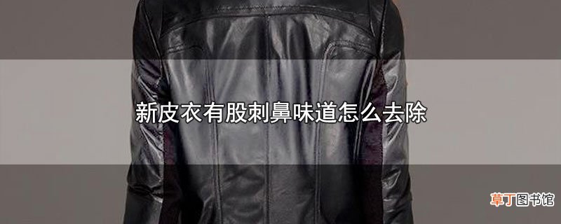 新皮衣有股刺鼻味道怎样去除