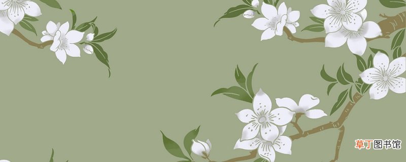 金缕衣的主旨 金缕衣的主旨是什么