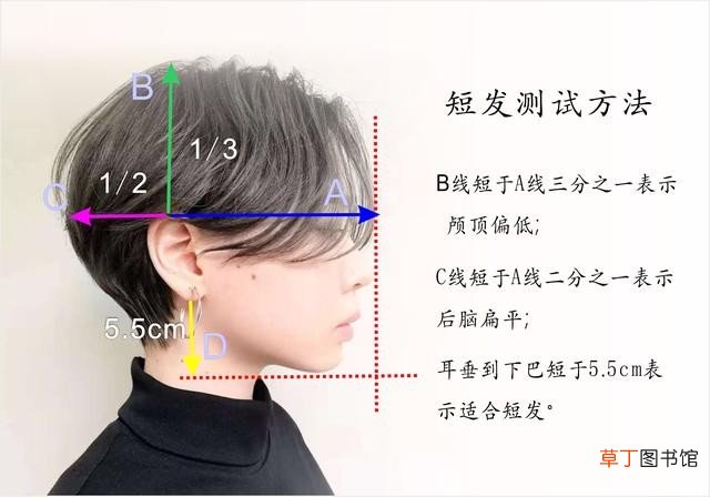 如何根据脸型选择发型 根据脸型设计发型
