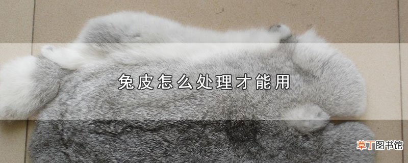 兔皮怎样处理才能用