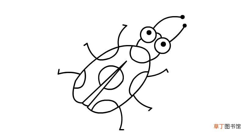 七星瓢虫简笔画