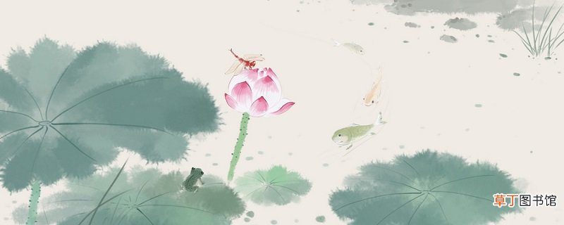 坐井关天的故事 坐井关天的故事是什么