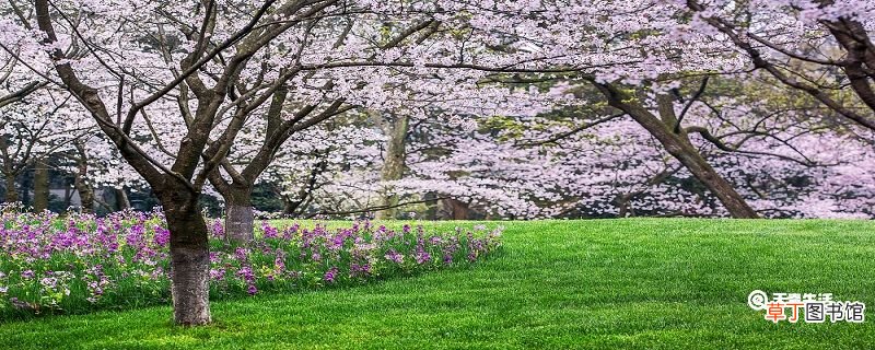 湖州市春季赏花去哪里 推荐湖州市春季赏花好去处