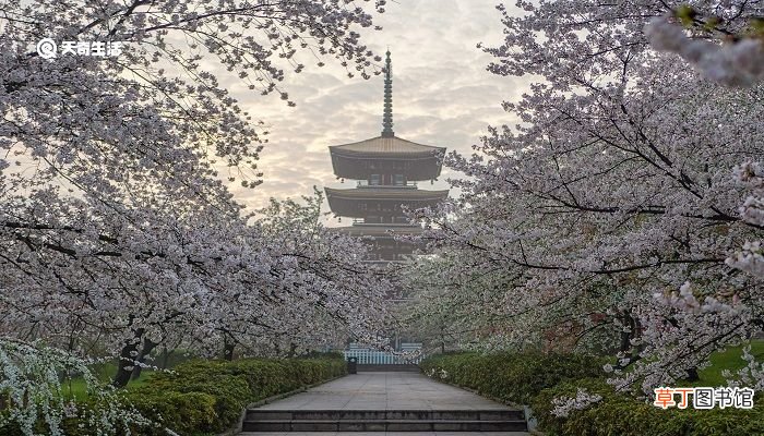 湖州市春季赏花去哪里 推荐湖州市春季赏花好去处