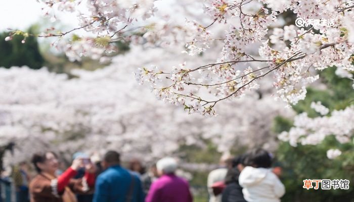 湖州市春季赏花去哪里 推荐湖州市春季赏花好去处