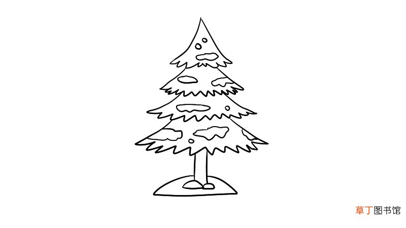 雪松简笔画的画法怎么画雪松简笔画