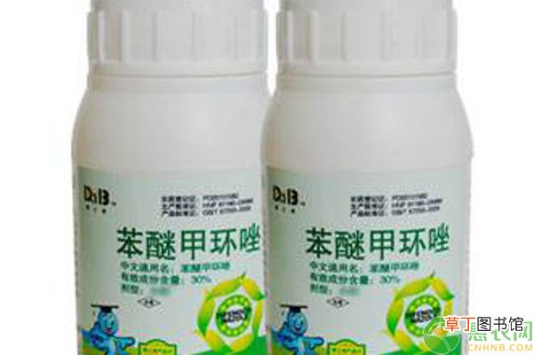 苯醚甲环唑能防治什么病？