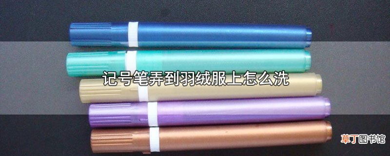 记号笔弄到羽绒服上怎样洗