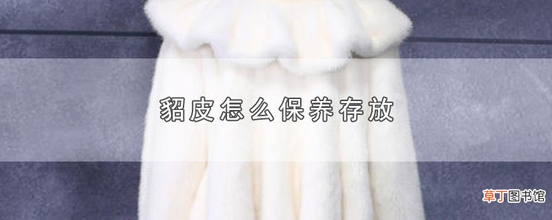 貂皮怎样保养存放
