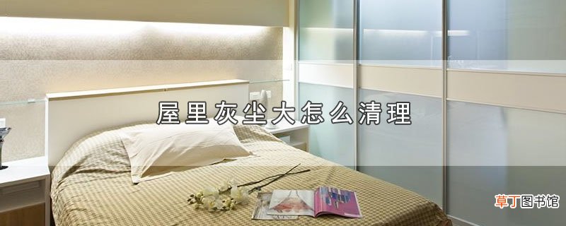 屋里灰尘大怎样清理