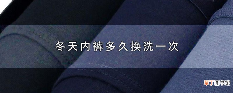 冬天内裤多久换洗一次