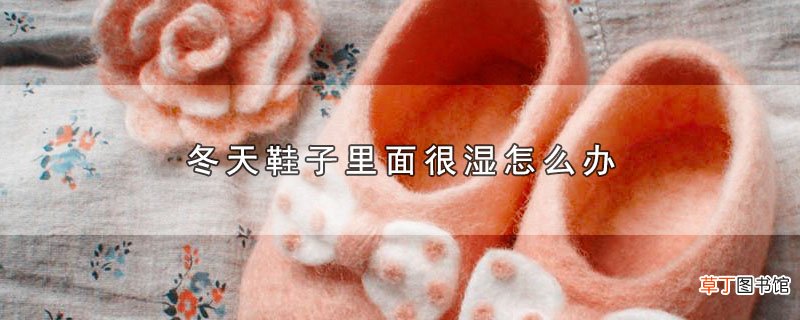 冬天鞋子里面很湿怎样办