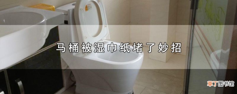 马桶被湿巾纸堵了妙招