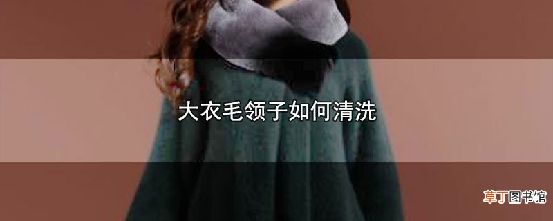 大衣毛领子怎么清洗