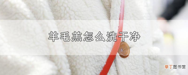 羊毛羔怎样洗干净