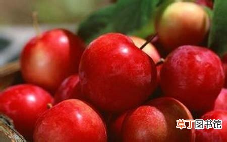 7种红色果蔬陪你过春夏春夏适合吃什么果蔬