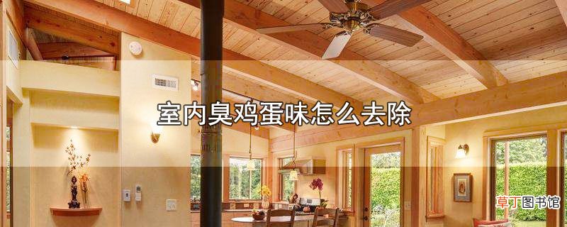 室内臭鸡蛋味怎样去除