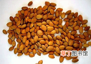 桃仁汤治疗肝硬化 桃仁汤能治疗肝硬化吗？