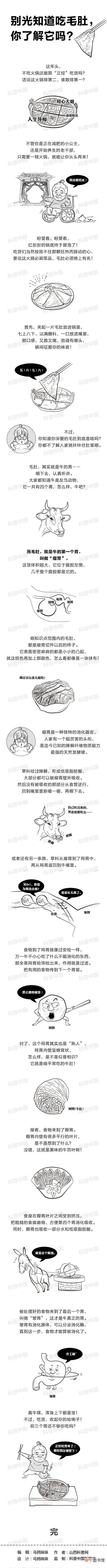 毛肚到底长什么样子 毛肚是什么动物身上的
