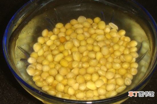 黄豆水臭味怎样去除