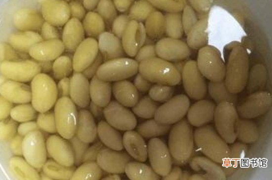 黄豆水臭味怎样去除