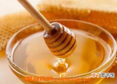 一杯清水辨别蜂蜜真假