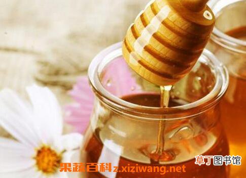 一杯清水辨别蜂蜜真假
