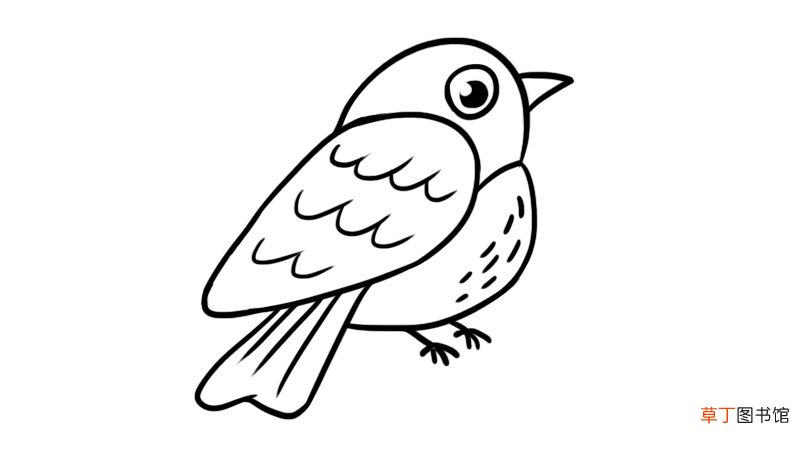 麻雀简笔画