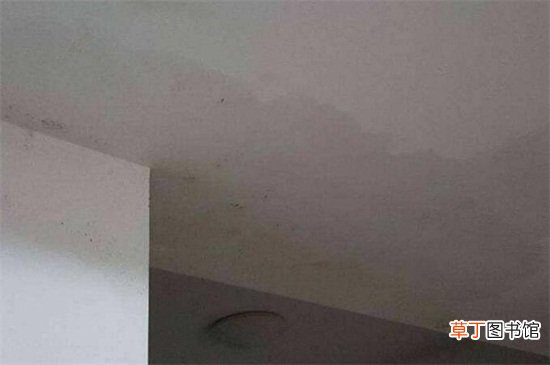 楼上漏水,在楼下能补吗