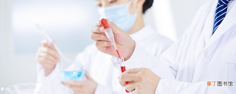 红磷的化学式 红磷的化学式是什么