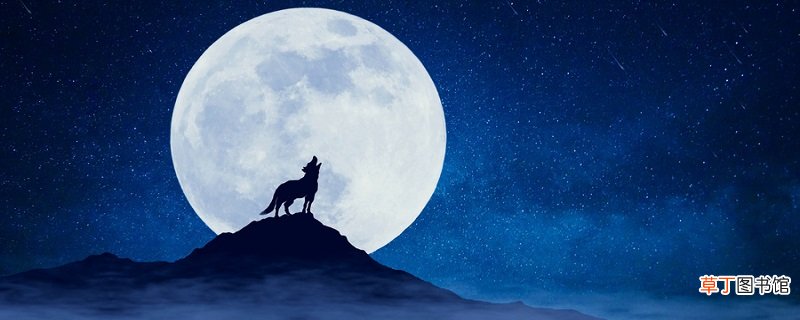 笨狼上学的故事 笨狼上学的故事是什么