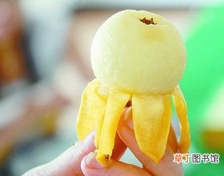 枇杷3大功效 瘦身减肥就吃它