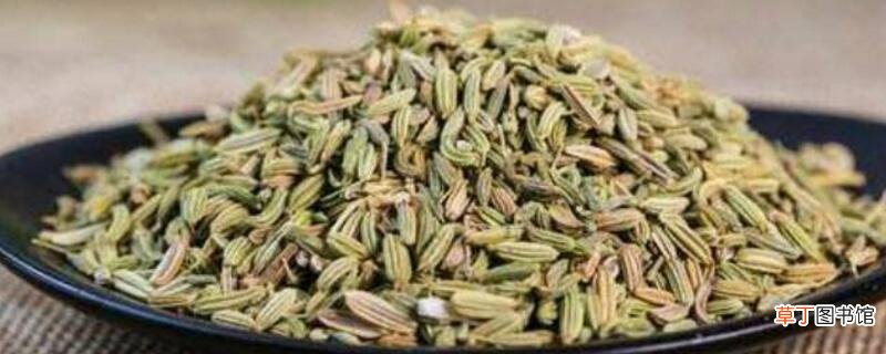 茴香籽怎么吃