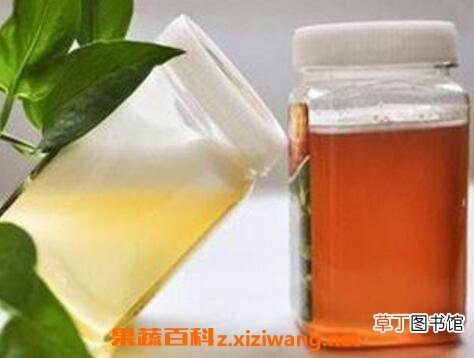 睡觉前喝蜂蜜牛奶好吗 喝蜂蜜牛奶好处和功效