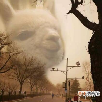 沙尘暴表情包大全沙尘暴表情包无水印