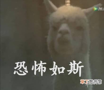 沙尘暴表情包大全沙尘暴表情包无水印