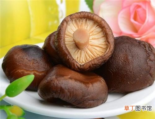 鲜香菇的功效及营养成分 香菇的营养价值