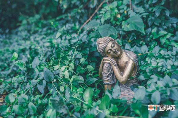 头顶三尺有神明下一句 头顶三尺有神明是谁说的