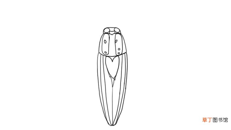 蟑螂简笔画