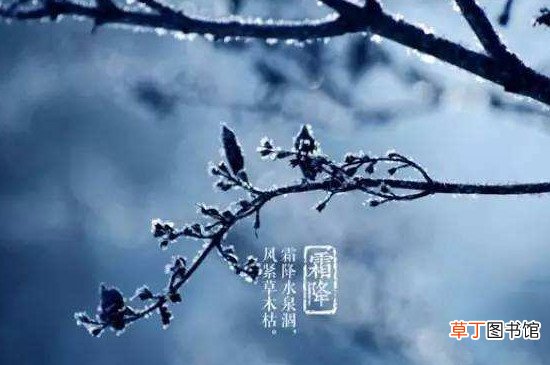 霜降三候是什么