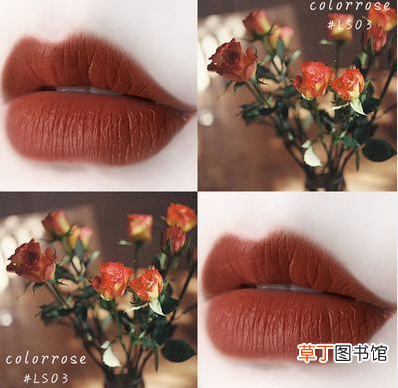 colorrose是什么牌子的口红