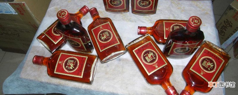 劲酒可以天天喝吗