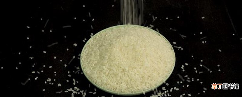 碳水化合物是什么
