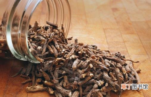 蒲公英的 根是否能泡水喝 蒲公英的复方茶小茶方推荐