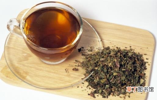 蒲公英的 根是否能泡水喝 蒲公英的复方茶小茶方推荐