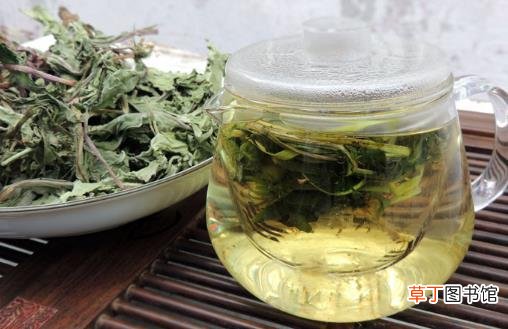 蒲公英的 根是否能泡水喝 蒲公英的复方茶小茶方推荐