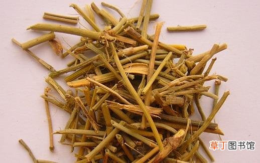 麻黄的功效与作用 美食力量舌尖上的中药美味文化