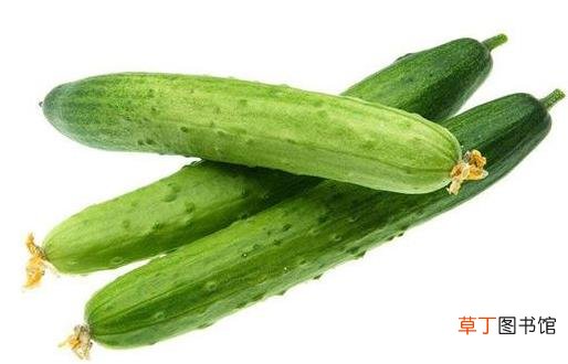 黄瓜是水果界蔬菜界美女们心头好 黄瓜的功效与作用