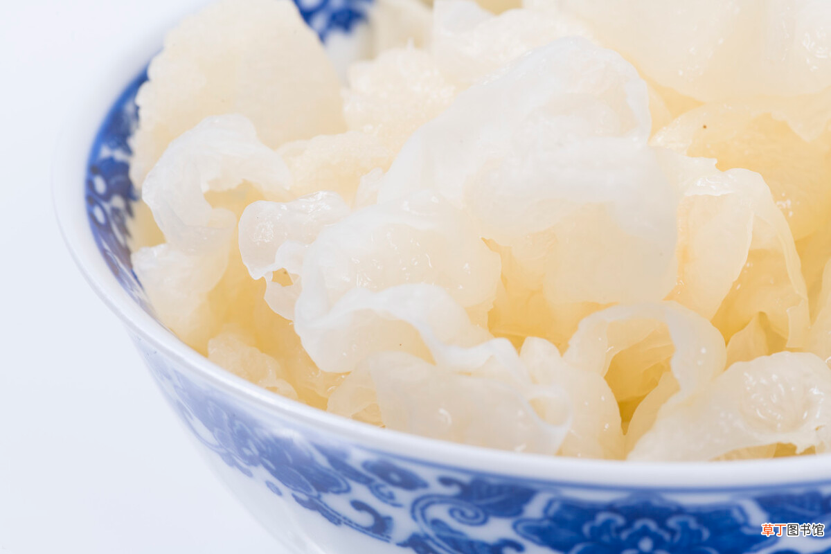 银耳泡了没煮怎么保存 银耳提前一晚上泡可以吗